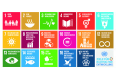Übersicht Ziele für Nachhaltige Entwicklung